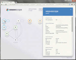 Container view (showing details of the Weave Scope container)