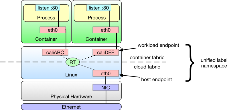 Diagram showing container eth0 interfaces connected to the host via virtual ethernet pairs, treated as workloads by Project