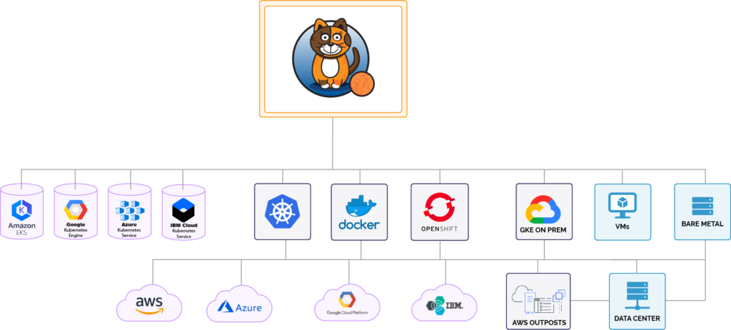 Calico logo atop a diagram of supported platforms, illustrating Calico's broad usability and customer focus