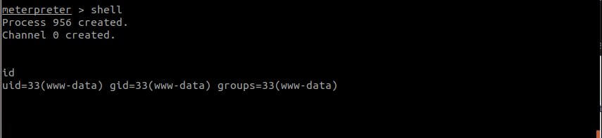 Terminal output showing a meterpreter shell with "www-data" user ID