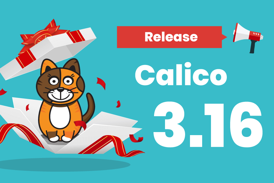 What’s new in Calico 3.16