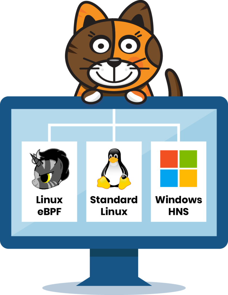 Cartoon cat above a monitor showing Linux eBPF, Standard Linux, and Windows HNS