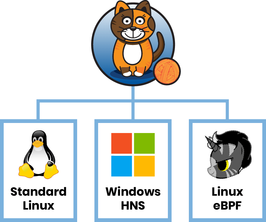 Calico supports Standard Linux, Windows HNS, and Linux eBPF. Calico logo at the top