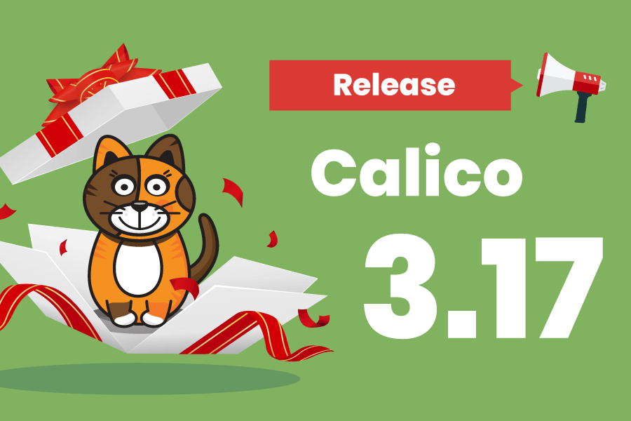 What’s new in Calico 3.17