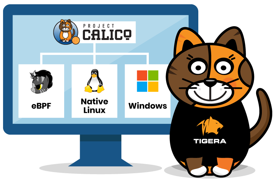 Calico supports WireGuard in the Linux kernel, as shown by the Linux icon. It also supports eBPF and Windows