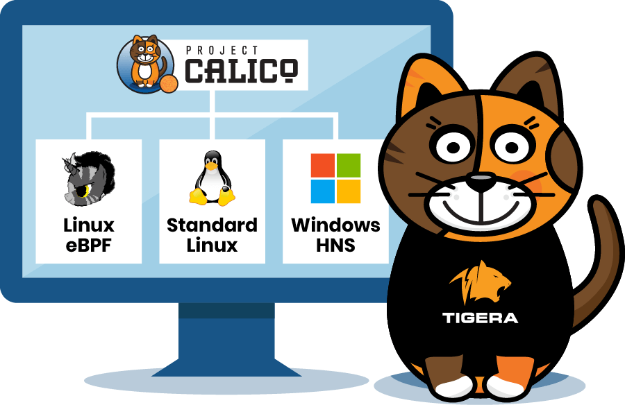 Calico data plane options: Linux eBPF (performance), Standard Linux (compatibility), and Windows HNS. Calico mascot in