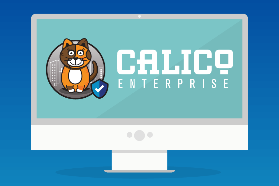 Calico Enterprise: An Overview