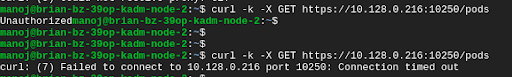 Denied access to kubelet after policy