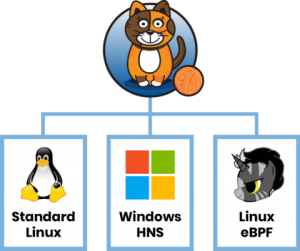 Calico logo branching to show pluggable data planes: Standard Linux, Windows HNS, and Linux eBPF