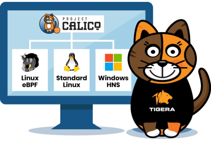 Calico extends eBPF to protect hosts. Diagram shows Calico supporting Linux eBPF, Standard Linux, and Windows HNS