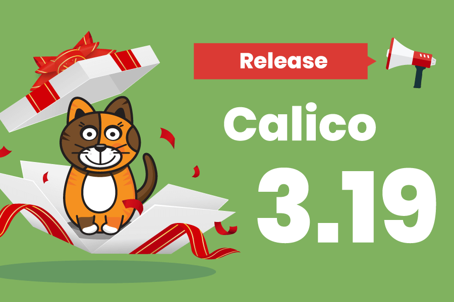 What’s New in Calico v3.19