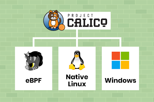 Calico logo branching to eBPF, Native Linux, and Windows, illustrating its support for multiple data planes