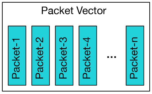 Packet vector: A group of similar packets (1 to n) grabbed by VPP from input nodes