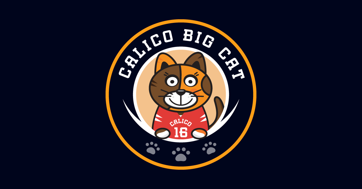 Introducing our exciting new ambassador program: Calico Big Cats
