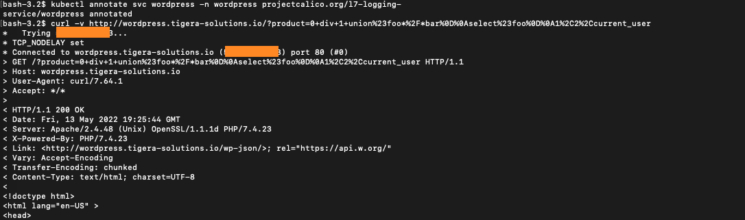 Terminal output showing a 'curl' command with a potentially malicious HTTP request to a WordPress site