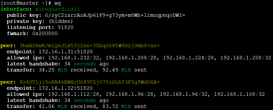 WireGuard configuration details on a node, showing interface, peers, endpoints, and allowed IPs, illustrating the mesh