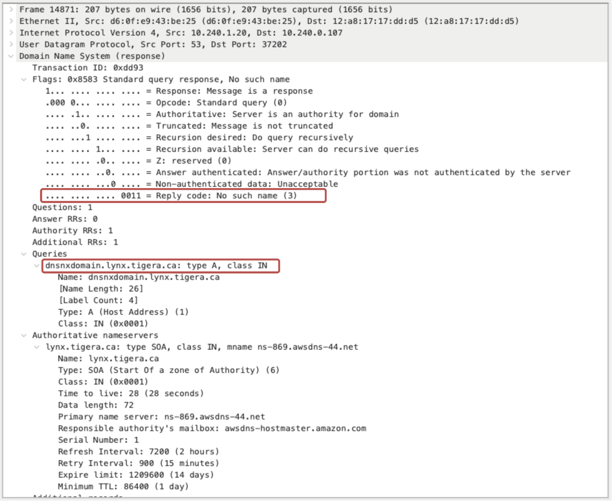 “NXDOMAIN” response for the query “dnsnxdomain.lynx.tigera.ca” screenshot