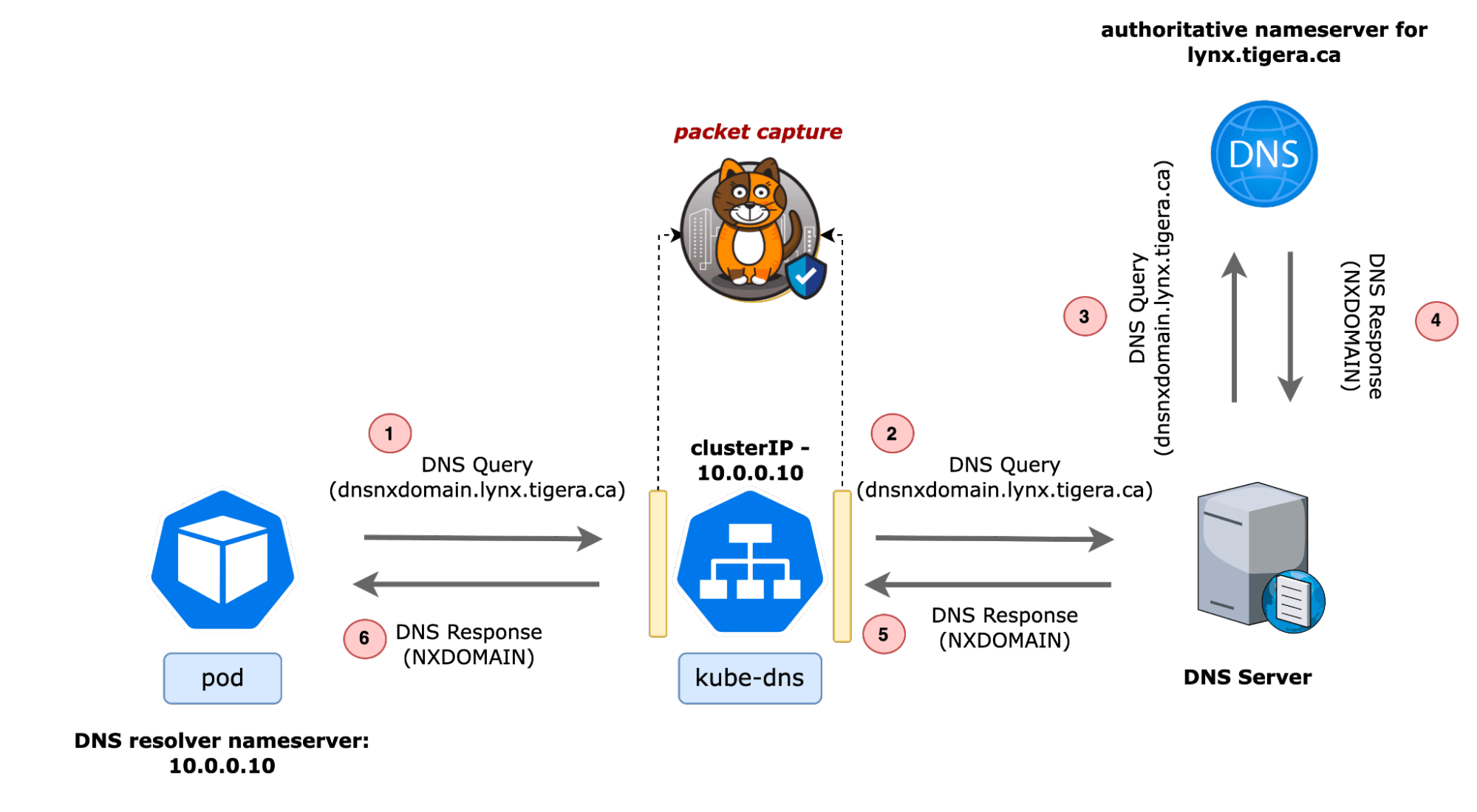 Diagram that shows an example of how the above domain name lookup was performed from a Kubernetes cluster and the points at which Calico gathered the packets