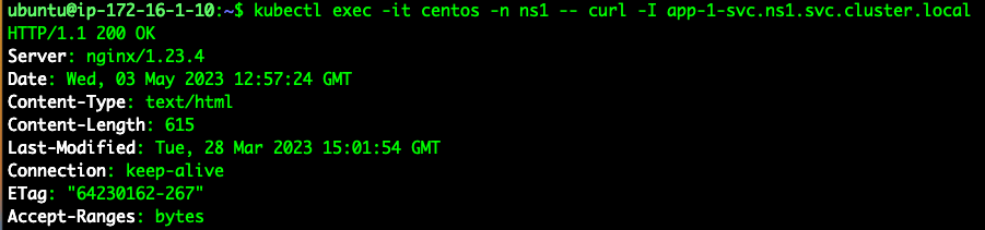 Terminal output showing a successful `curl` command from the CentOS pod to the `app-1` service, indicated by 'HTTP/1.1 200 OK