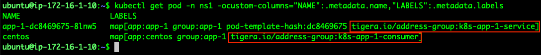 Kubectl command output showing pod labels, including tigera.io address groups