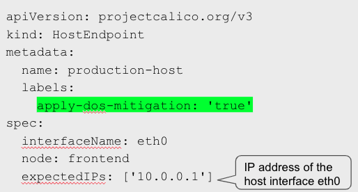 HostEndpoint configuration showing IP address ('10.0.0.1') for interface eth0