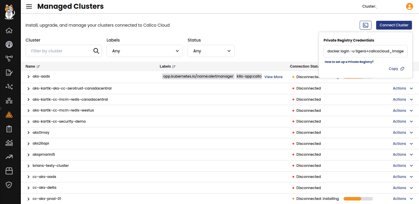 Calico Cloud UI showing private registry credentials. The command pulls Calico images into the private registry