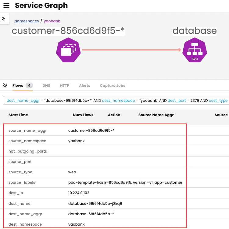 Calico Service Graph showing flow logs between customer and database services