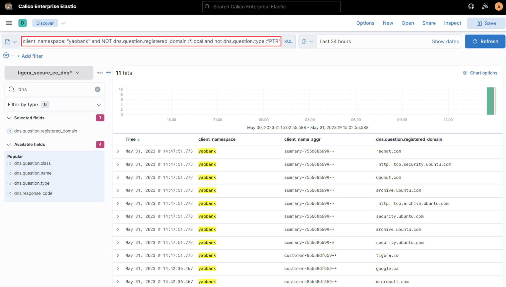 Screenshot of DNS logs filtered to show pertinent names for security policy reference