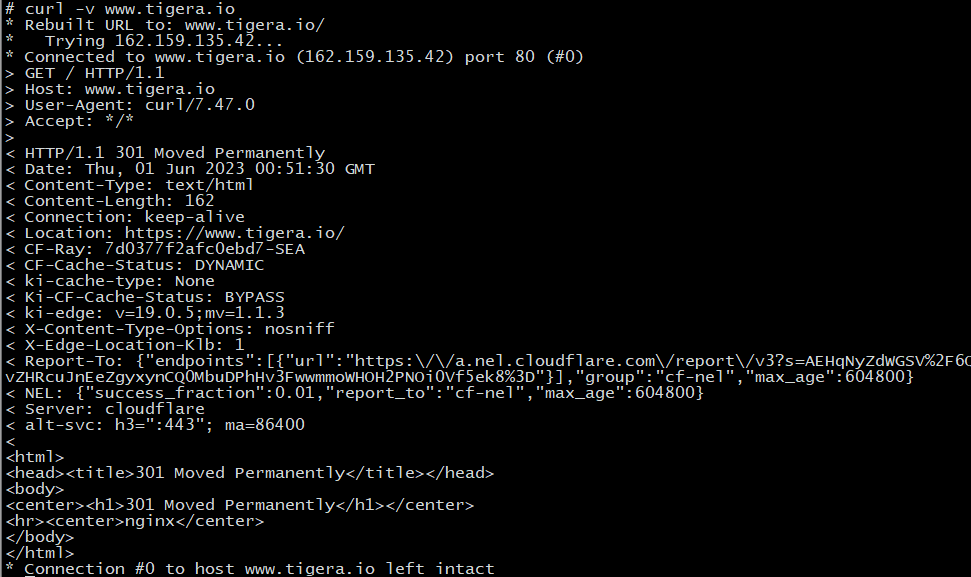 curl command output showing successful connection to www.wordpress-1075849-4005834.cloudwaysapps.com, but a 301 redirect for wordpress-1075849-4005834.cloudwaysapps.com