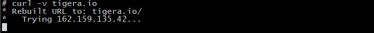 Terminal output showing a `curl` command resolving tigera.io to an IP address