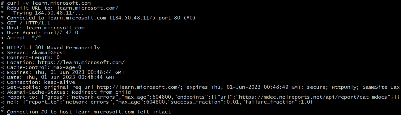 Terminal output shows successful connection to `learn.microsoft.com` (subdomain), but a failed connection to `microsoft.com