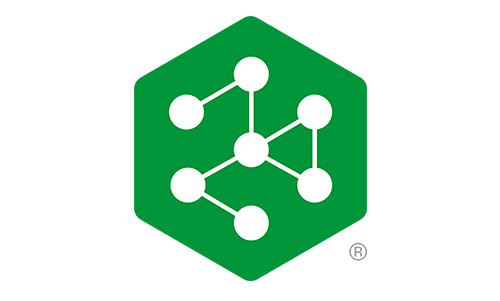 NGINX Service Mesh Logo