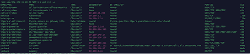 Screenshot shows 'customer' service exposed as LoadBalancer with an external IP, confirming quick browser access for testing