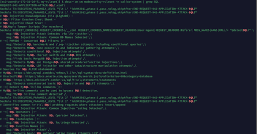 Terminal output showing ModSecurity ruleset configuration related to SQL injection attacks, filtered by 'SQL