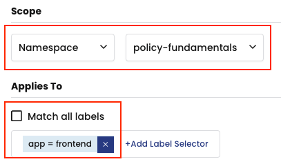 Namespace scope with label selector "app=frontend" shown