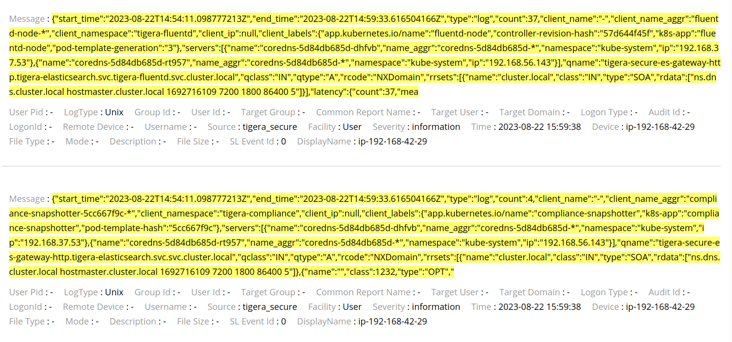 Two example DNS logs showing message details, user info, and timestamps, illustrating the structure and content of DNS logs