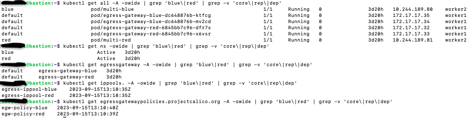 Screenshot of kubectl commands showing namespaces 'blue' and 'red' with associated gateways and policies