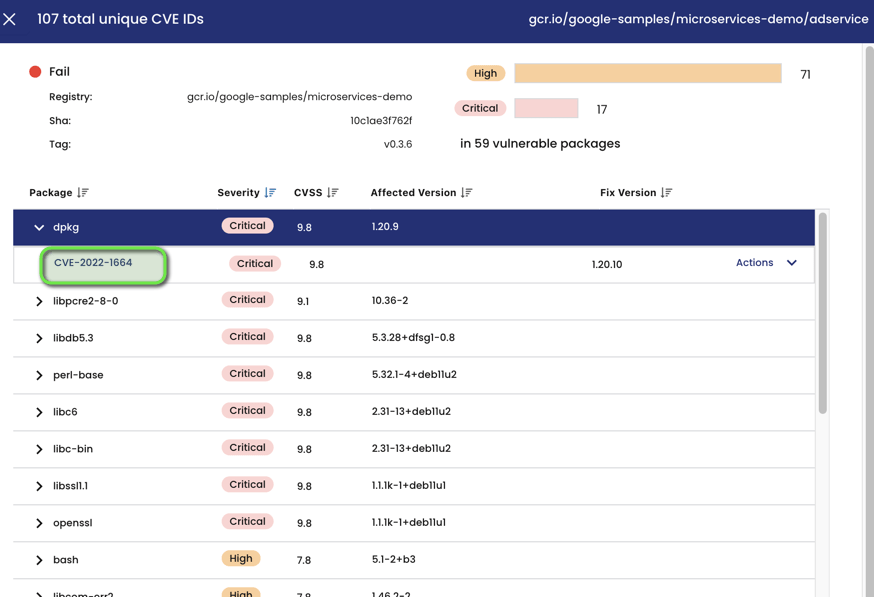 Screenshot of a package analysis showing CVE IDs, severity, CVSS scores, affected versions, and fix versions for vulnerable