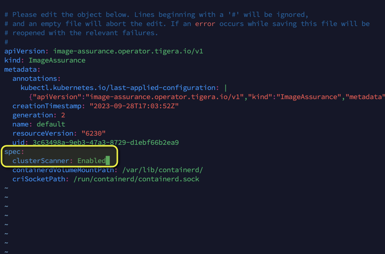 YAML file snippet showing "clusterScanner: Enabled" under the "spec" section. This activates the containerized scanner