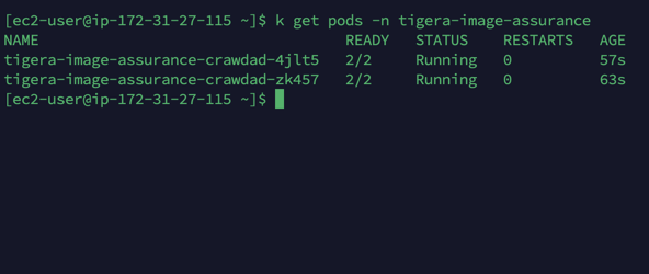 Screenshot showing the 'k get pods' command output, listing pods in the tigera-image-assurance namespace, confirming