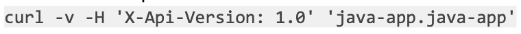 Curl command showing a valid API version 1.0 request to java-app