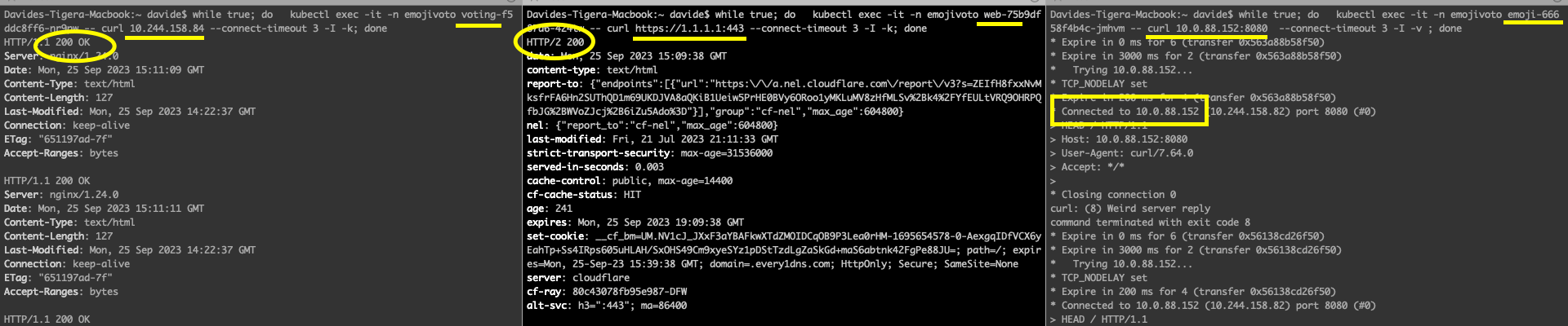 Terminal output showing "HTTP/1.1 200 OK" and "HTTP/2 200" for curl commands, indicating successful connections