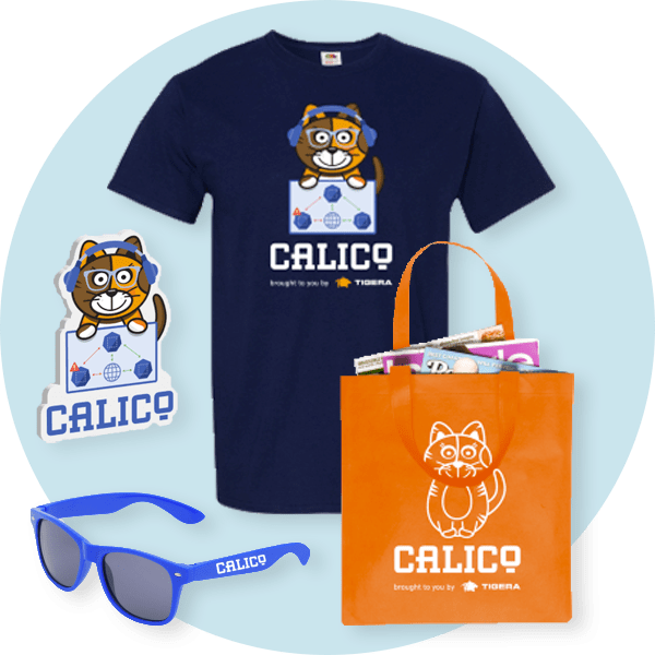 Conference swag: T-shirt, sticker, bag, and sunglasses all featuring the Calico logo