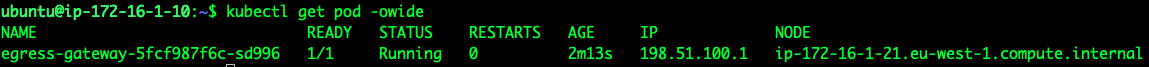 Screenshot of kubectl output showing egress gateway IP address 198.51.100.1
