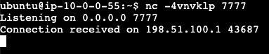 Terminal output showing successful network connection on port 7777