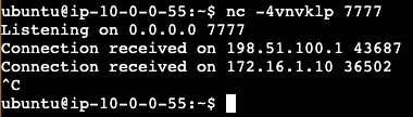 Terminal output showing Calico Egress Gateway connections from two IP addresses