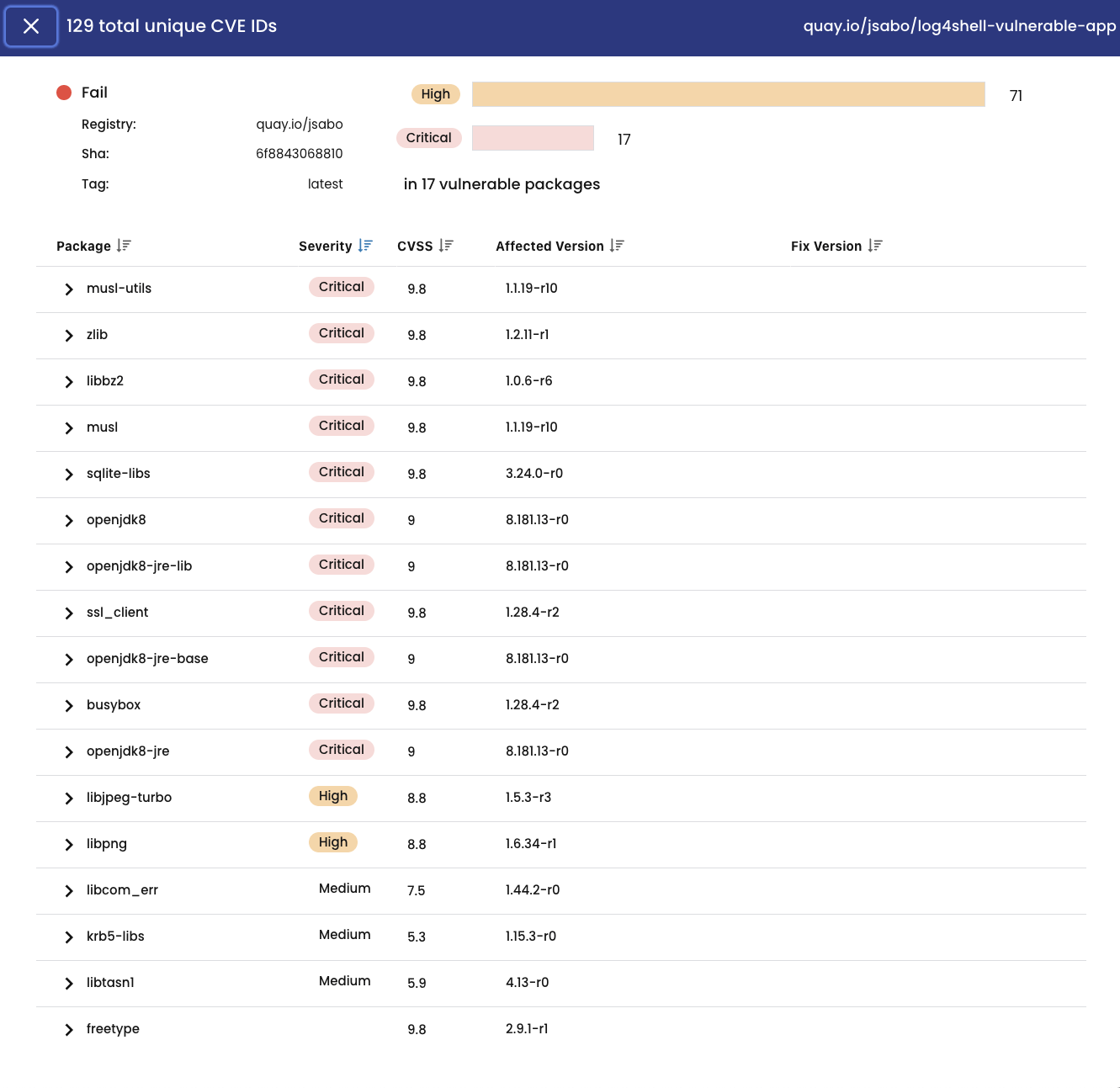 Vulnerability scan results showing a list of packages with detected CVEs and their severity. Clicking a package reveals its