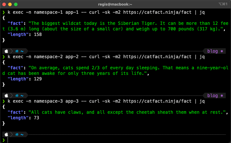 Screenshot showing three namespaces successfully accessing the catfact.ninja API